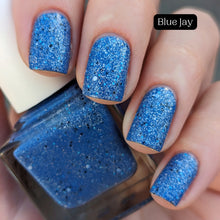 Load image into Gallery viewer, Corvid Collection - April Fool's Day 2024 - RETIRING