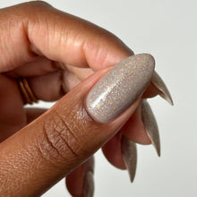 Load image into Gallery viewer, Cream of Mushroom