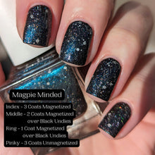 Load image into Gallery viewer, Corvid Collection - April Fool's Day 2024 - RETIRING