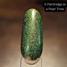 Load image into Gallery viewer, 2023 Christmas Calendar Overpours