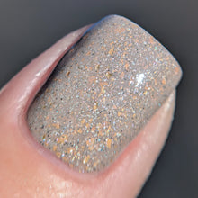 Load image into Gallery viewer, Cream of Mushroom