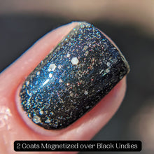 Load image into Gallery viewer, Corvid Collection - April Fool's Day 2024 - RETIRING