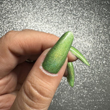 Load image into Gallery viewer, I'm in the Wetlands (Pigment Separates) - RETIRING