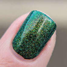 Load image into Gallery viewer, There and Back Again