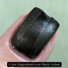 Load image into Gallery viewer, Corvid Collection - April Fool's Day 2024 - RETIRING