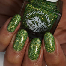 Load image into Gallery viewer, Everglades