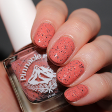 Load image into Gallery viewer, Eggstraordinary