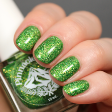 Load image into Gallery viewer, Everglades