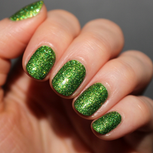 Load image into Gallery viewer, Everglades