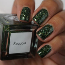 Load image into Gallery viewer, Sequoia