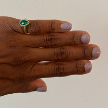 Load image into Gallery viewer, Grand Teton