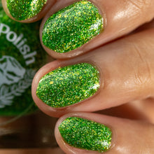 Load image into Gallery viewer, Everglades