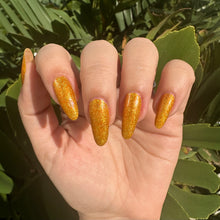 Load image into Gallery viewer, Death Valley