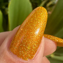 Load image into Gallery viewer, Death Valley