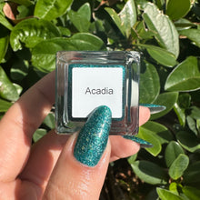 Load image into Gallery viewer, Acadia