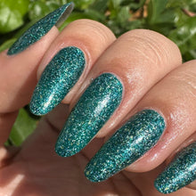 Load image into Gallery viewer, Acadia