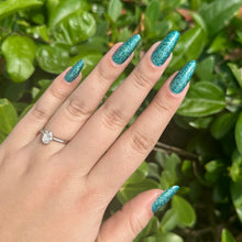 Load image into Gallery viewer, Acadia