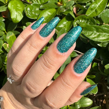 Load image into Gallery viewer, Acadia