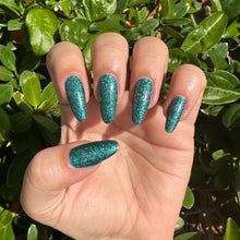 Load image into Gallery viewer, Acadia