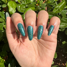 Load image into Gallery viewer, Acadia