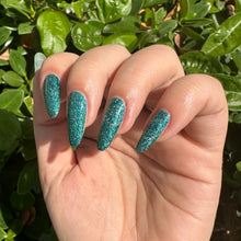 Load image into Gallery viewer, Acadia