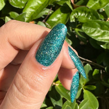 Load image into Gallery viewer, Acadia