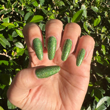 Load image into Gallery viewer, Everglades