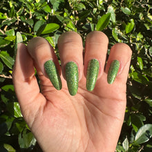 Load image into Gallery viewer, Everglades