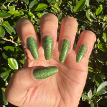 Load image into Gallery viewer, Everglades