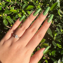 Load image into Gallery viewer, Everglades