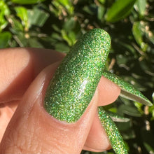 Load image into Gallery viewer, Everglades