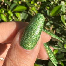 Load image into Gallery viewer, Everglades