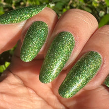 Load image into Gallery viewer, Everglades