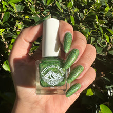 Load image into Gallery viewer, Everglades