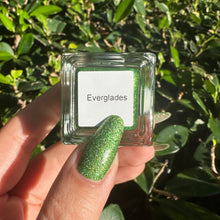 Load image into Gallery viewer, Everglades