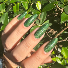 Load image into Gallery viewer, Yosemite