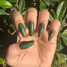 Load image into Gallery viewer, Yosemite