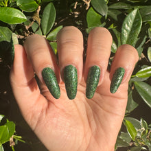 Load image into Gallery viewer, Yosemite