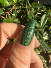 Load image into Gallery viewer, Yosemite