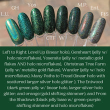 Load image into Gallery viewer, Yosemite