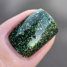 Load image into Gallery viewer, Sequoia