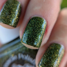 Load image into Gallery viewer, Olympic