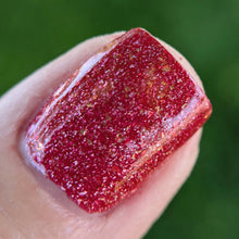 Load image into Gallery viewer, Saguaro