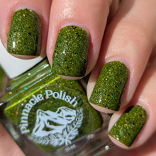 Load image into Gallery viewer, Shell Out