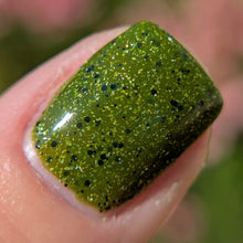 Load image into Gallery viewer, Shell Out