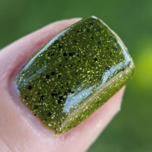 Load image into Gallery viewer, Shell Out