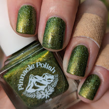 Load image into Gallery viewer, Yellow Perch