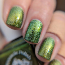 Load image into Gallery viewer, Yellow Perch