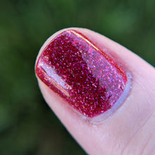 Load image into Gallery viewer, Borscht