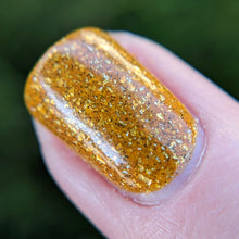 Load image into Gallery viewer, Butternut Squash Soup